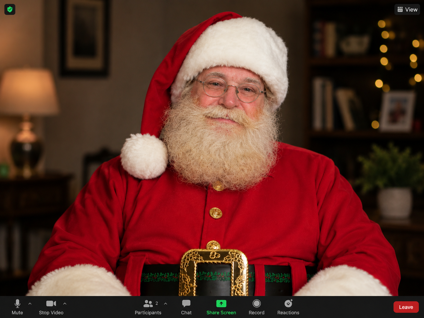 Video call with Santa Mark